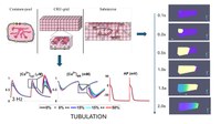 Desenvolupament d'una nova plataforma de modelització per estudiar el comportament subcel·lular del calci en cardiomiòcits