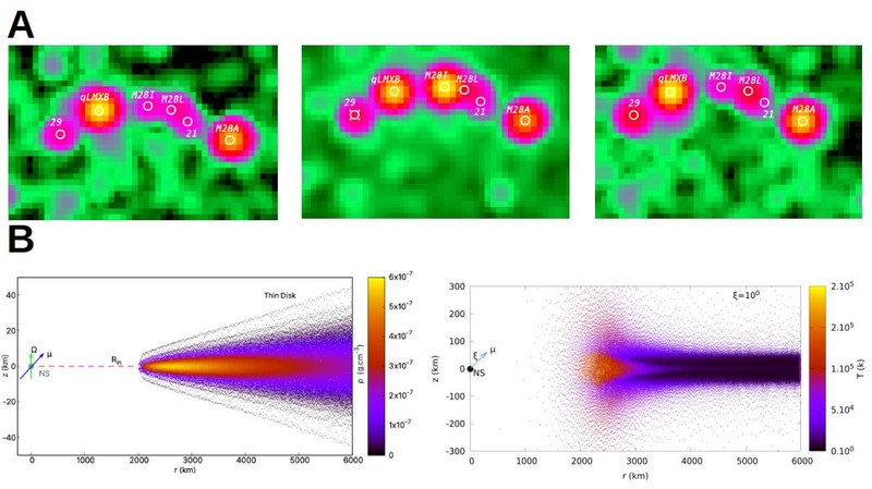 Discs al voltant de púlsars ultraràpids amb període de mil.lisegon:  Observacions i simulacions numèriques