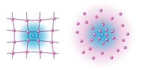 Estudi del comportament de les impureses en sistemes de Bose i Fermi