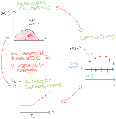 Partícules d'alta velocitat es transformen tèrmicament de quàntiques a clàssiques travessant la temperatura d'anomalia