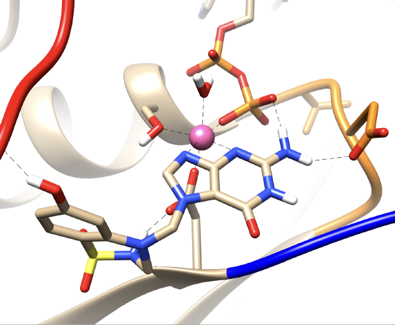 Simulació de proteïnes oncogèniques per Dinàmica Molecular i disseny de fàrmacs in silico