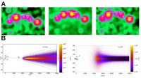 Disks around ultra-fast spinning millisecond pulsars: from observations to numerical simulations