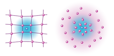 Study of the behavior of impurities in Bose and Fermi systems