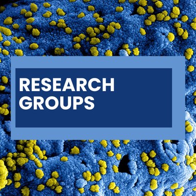 Research Groups
